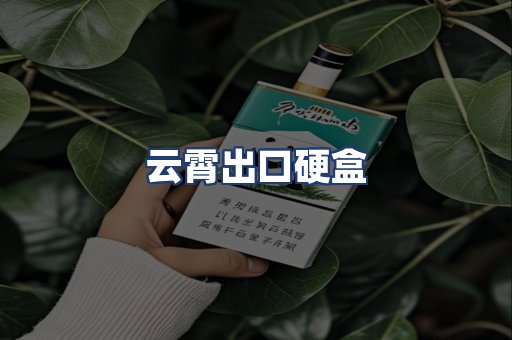 云霄出口硬盒
